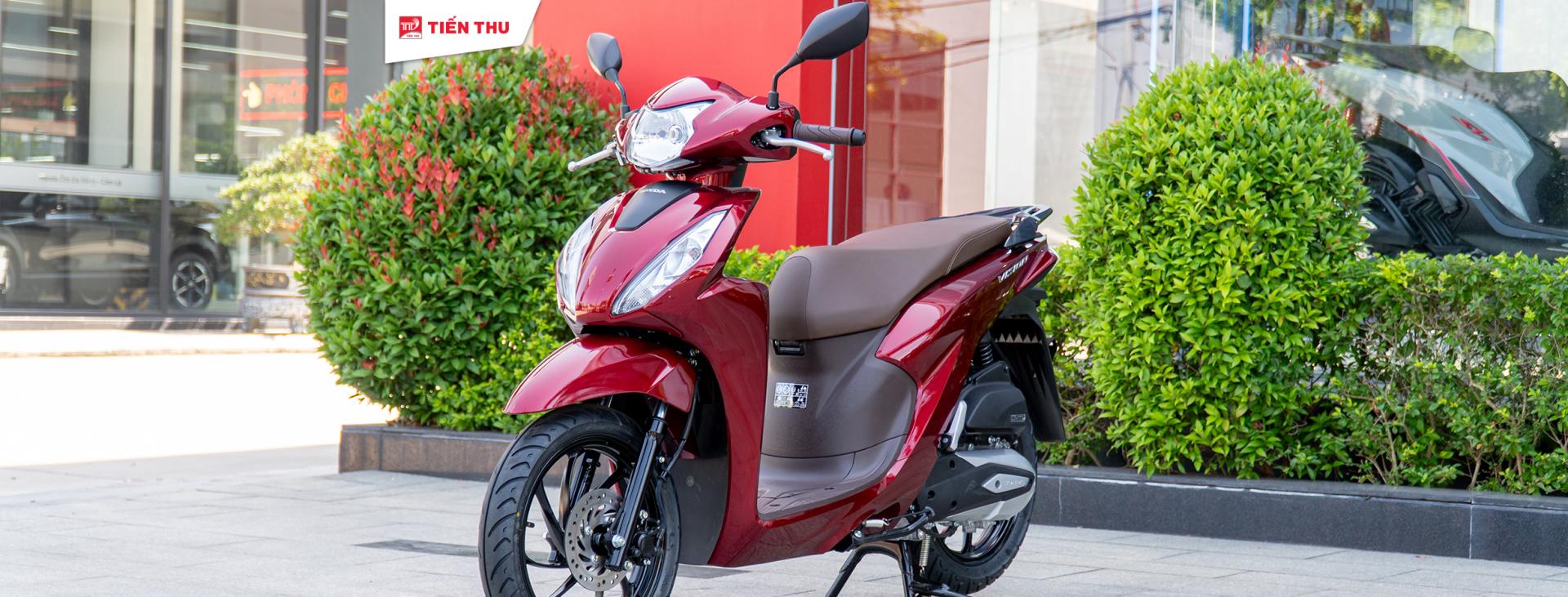 Vision Quốc Dân, Vizionese Chính Hiệu